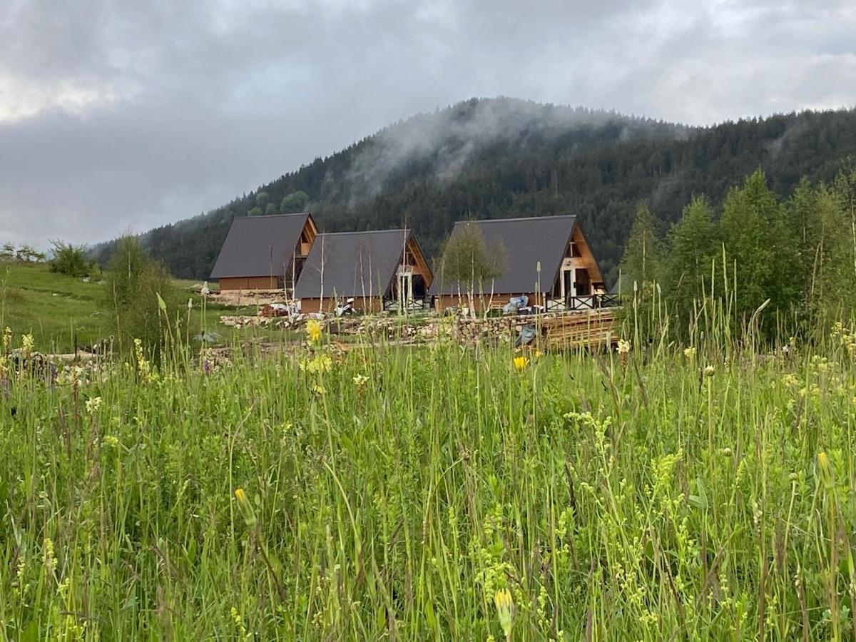 Runolist Chalet Žabljak 外观 照片